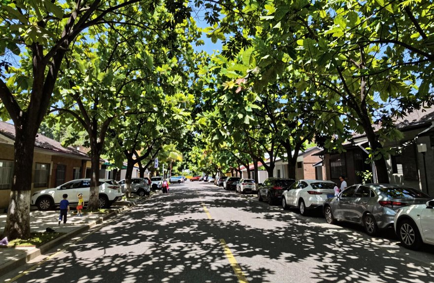 trees create cooling neighborhoods through shade and evapotranspiration