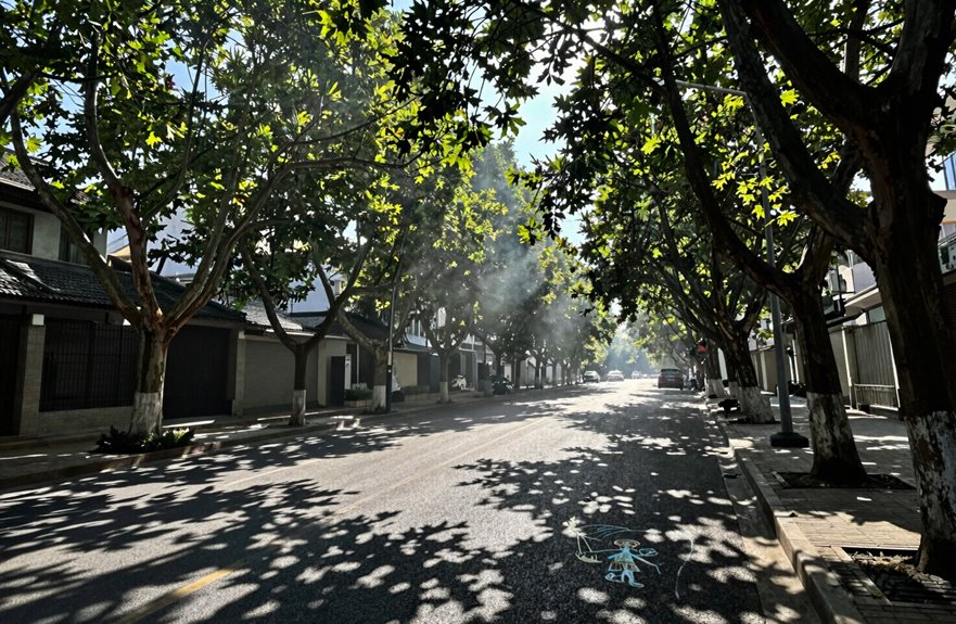 urban trees cut pollution save lives
